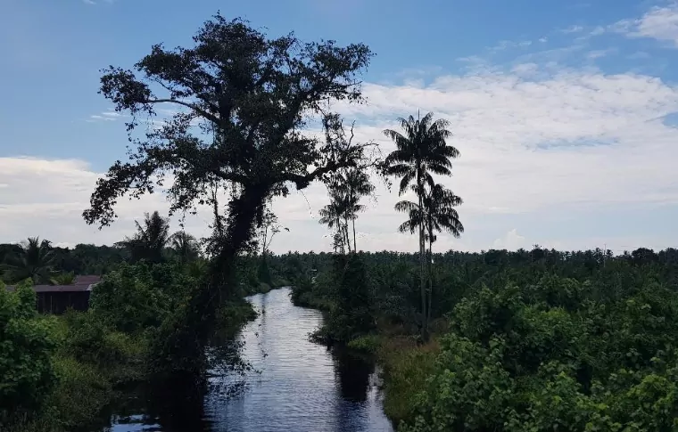 14-Day Trans-Borneo Road Bike Adventure